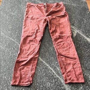LOFT Women's Velvet Brick Red Jeans